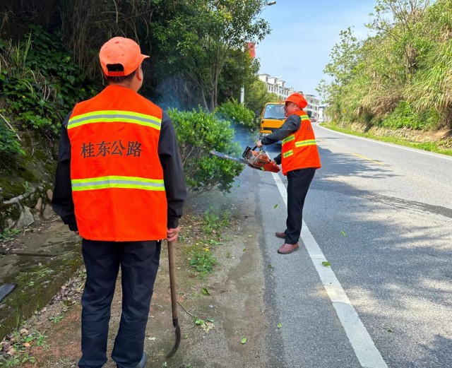 KK体育桂东县公路建设养护中心：积极推进干线公路绿化提质(图2)