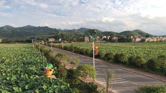 说明: C:\Users\Administrator\AppData\Local\Temp\WeChat Files\7649ee1780b0fcb618a14243d768f66.jpg
