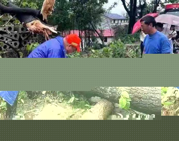 说明: 说明: C:\Users\HP\AppData\Local\Temp\WeChat Files\89ede945f247de780ce3d7a2ef4ff36.jpg