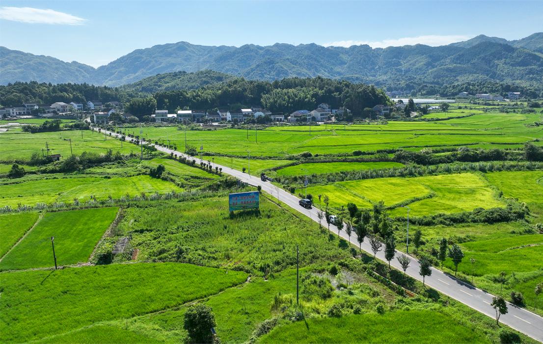 湘阴最美乡村路醉了游客富了农家图